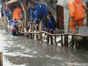 Tanggul Masih Diperbaiki, Warga Jati Padang Kebanjiran Lagi