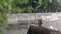 Tidak ada tanggapan khusus, saya hanya mengerjakan yang seharusnya sebagai penanggung jawab daerah saya merespons. Saya datang ke sini, saya tidak mengira juga diberi nama seperti itu, kata Anies  saat ditanya soal Tanggul Baswedan. 