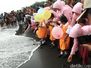 Puluhan Anak Lepas Liarkan Anak Penyu ke Laut