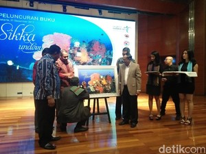 Pulih dari Tsunami, Kabupaten Sikka Unjuk Gigi Kecantikan Bawah Laut
