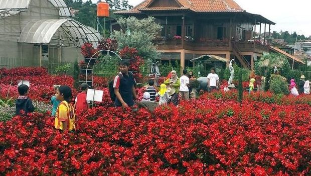 kebun bunga