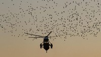 Trump berada di helikopter setelah berkunjung ke Walter Reed National Military Medical Center