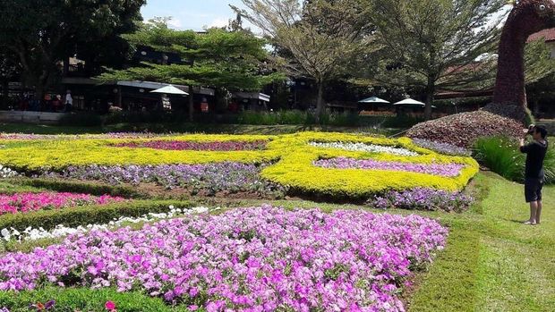taman bunga
