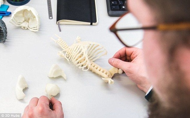 Objek Unik Cetakan Printer 3D, dari Bayi Hingga Suara Tawa