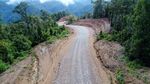 Wow, Jokowi Bangun Jalan Meliuk Tembus Belantara Papua