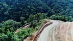 Wow, Jokowi Bangun Jalan Meliuk Tembus Belantara Papua
