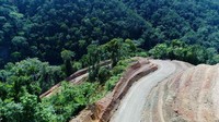 Jalan Trans Papua sudah menembus hutan dan mulus untuk dilewati kendaraan. Dok. BP Jalan Nasional XVII Papua Barat.