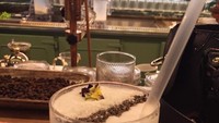 Yang ini adalah minuman favoritnya selama di Sydney. Jus kelapa buatan The Grounds of the City. So very yum yum, tulis ibu 1 anak ini. Foto: Instagram septriasaacha