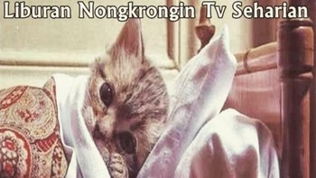 Kebiasaan mager alias males gerak. Foto: Ist/Internet