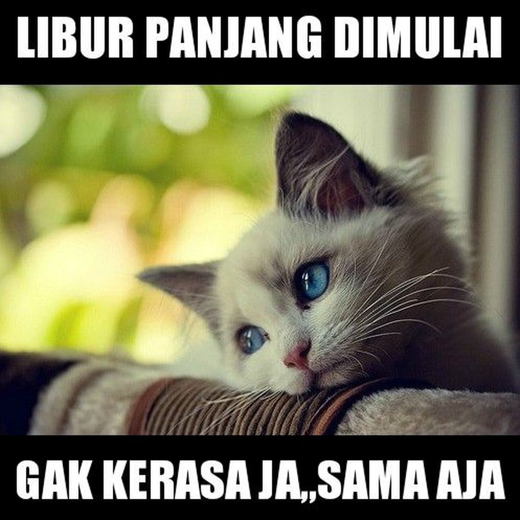 Meme Kocak Libur Panjang