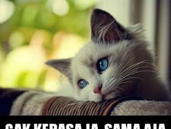 Meme Kocak Libur Panjang, yang Jomblo Jangan Baper