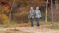Akihito menyatakan dirinya khawatir bahwa usia dan kondisi kesehatannya akan membuatnya sulit untuk melakukan tugas-tugasnya. 
