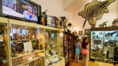 Foto: Museum Paling Aneh, Nomor 9 Bikin Cewek Ngeri