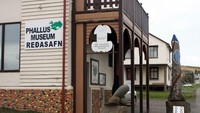 Iceland Phallological Museum, Reykjavík, Islandia. Museum ini isinya tentang organ seks jantan dari hewan dan manusia. Ada 276 jenis penis dari hamster hingga paus sperma dan seorang pria Islandia berusia 95 tahun (CNN Travel)