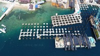 Proyek Pelabuhan Sorong sudah dimulai tahun ini dan ditarget rampung pada Juli 2018. Foto: Dok. PT Wijaya Karya (Persero) Tbk