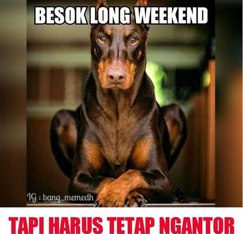Meme Libur Panjang