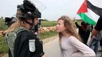 Si Pirang Ahed Tamimi, Gadis Palestina yang Tak Takut Lawan Israel