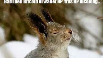 Namun, nilai bitcoin mulai turun hingga USD 14.615 saat ini. Foto: istimewa