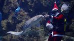 Intip Aksi Unik Santa Claus di Berbagai Belahan Dunia