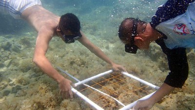 Melihat Aktivitas Siswa Sekolah Pantai Indonesia Garapan Menteri Susi