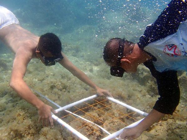 Melihat Aktivitas Siswa Sekolah Pantai Indonesia Garapan Menteri Susi