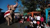 Di Thailand, Santa tampak mengendarai gajah dan menghibur anak-anak di sebuah sekolah di Ayutthaya. REUTERS/Athit Perawongmetha.
