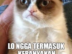 Meme Bitcoin Anjlok Bikin Ngakak