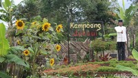 Kampoeng Jokowi ada di Perkebunan Teh Nusantara VIII Dayeuhmanggung, Kecamatan Cilawu. Awalnya bernama Kampung Cipinang, namun diubah menjadi Kampoeng Jokowi karena terinspirasi oleh kesederhanaan Presiden RI ke-7 itu (Hakim Ghani/detikTravel)