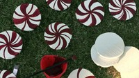 McConnel membuat secara detil hiasan frosting dan peppermint di rumah dibuat dengan tangannya sendiri. Dia membuatnya dari papan busa ringan dan dilukis untuk memberikan kesan detil. Inhabitat/Istimewa.