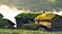 Perbukitan hijau subur mengelilingi hotel, tamu pun akan disuguhi suasana seperti dalam dongeng. Inhabitat/Istimewa.
