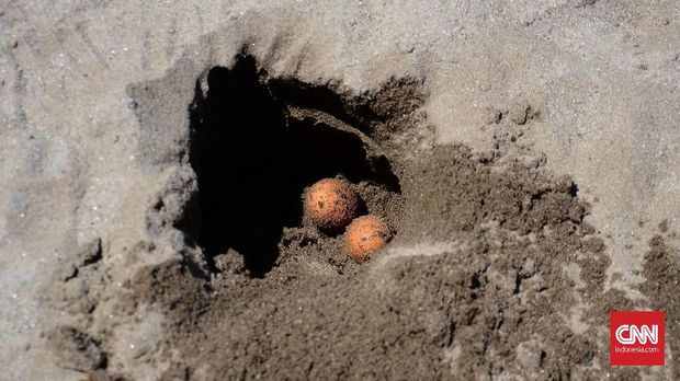 Ancaman di Wallacea, Kawasan Inspirasi Teori Evolusi