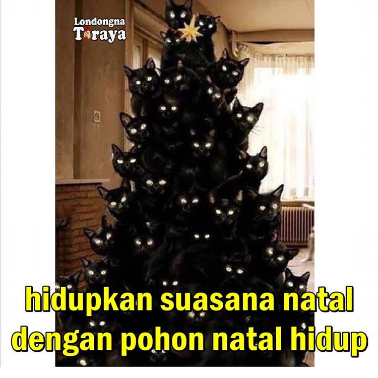 meme natal