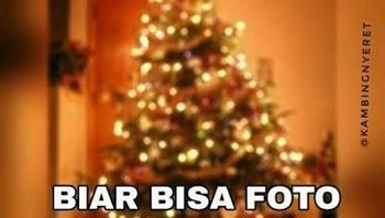 Perlu jadi pohon Natal biar foto... Foto: Istimewa