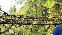 Pada 2009, Rogers meneruskan sekolahnya di salah satu universitas di India. Saat itu dia terpesona dengan budaya kesukuan di negara tersebut, apa lagi ketika mengunjungi bukit Khasi diwilayah Meghalaya, India. Inhabitat/Istimewa.