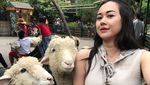 Foto: Liburannya Si Seksi Aura Kasih