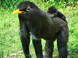 Imajinasi Kawin Silang Hewan Ini Bikin Ngakak