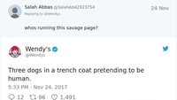 Rasa penasaran netizen terhadap admin Wendy’s juga dijawab dengan kocak. Masa iya jawabannya anjing yang pura-pura jadi manusia? Foto: Istimewa