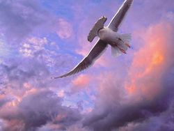 Imajinasi Kawin Silang Hewan Ini Bikin Ngakak