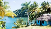 Pantai Guardalavaca memiliki hamparan pasir putih yang lembut. Konturnya landai, air lautnya bergradasi. Di tepian pantai, berjejer pepohonan kepala. Tak ayal, kalau Columbus langsung jatuh hati (Tanveer Badal/BBC Travel)