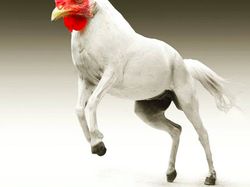 Imajinasi Kawin Silang Hewan Ini Bikin Ngakak