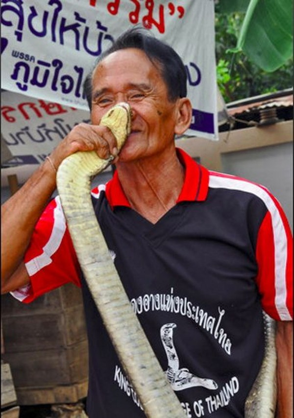 Kami sudah hidup bersama ular selama bertahun-tahun. Kalau ada salah satu dari mereka mati, maka kami akan membuat persembahan di kuil, kata Bualee, sebagai pawang ular paling senior di Ban Kok Sa-Nga (CNN) Kami sudah hidup bersama ular selama bertahun-tahun. Kalau ada salah satu dari mereka mati, maka kami akan membuat persembahan di kuil, kata Bualee, sebagai pawang ular paling senior di Ban Kok Sa-Nga (CNN)
