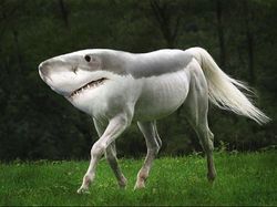 Imajinasi Kawin Silang Hewan Ini Bikin Ngakak