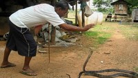 Berani datang ke Desa Kobra di Thailand ini? (CNN)
