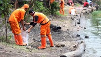 Hampir setiap harinya petugas menyisir seluruh sisi danau baik di daratannya ataupun diperairannya.