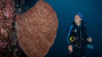 Wanita blasteran Indonesia-Jerman ini doyan banget olahraga menyelam atau diving. Nadine sudah mengarungi berbagai laut di Indonesia, bahkan di beberapa laut dunia. (Foto: Instagram/@nadinelist)