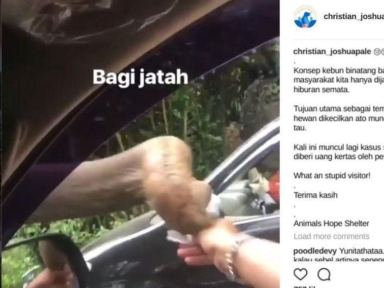 Viral Video Pengunjung Beri Uang Kertas Ke Gajah Di Taman Safari