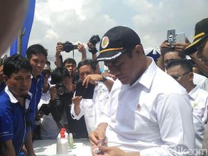 Bupati Kolaka Timur Curhat Harga Jagung, Ini Respons Mentan
