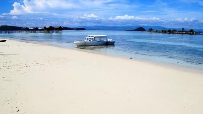 Heboh Pulau di Bintan Dijual Online