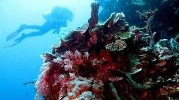 Gorontalo: Destinasi Libur Akhir Tahun Buat Pecinta Laut