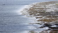 Di pinggir daratan baru itu, bisa dimanfaatkan orang untuk memancing. Seperti yang terlihat di gambar ini/Foto: REUTERS/Amr Abdallah Dalsh